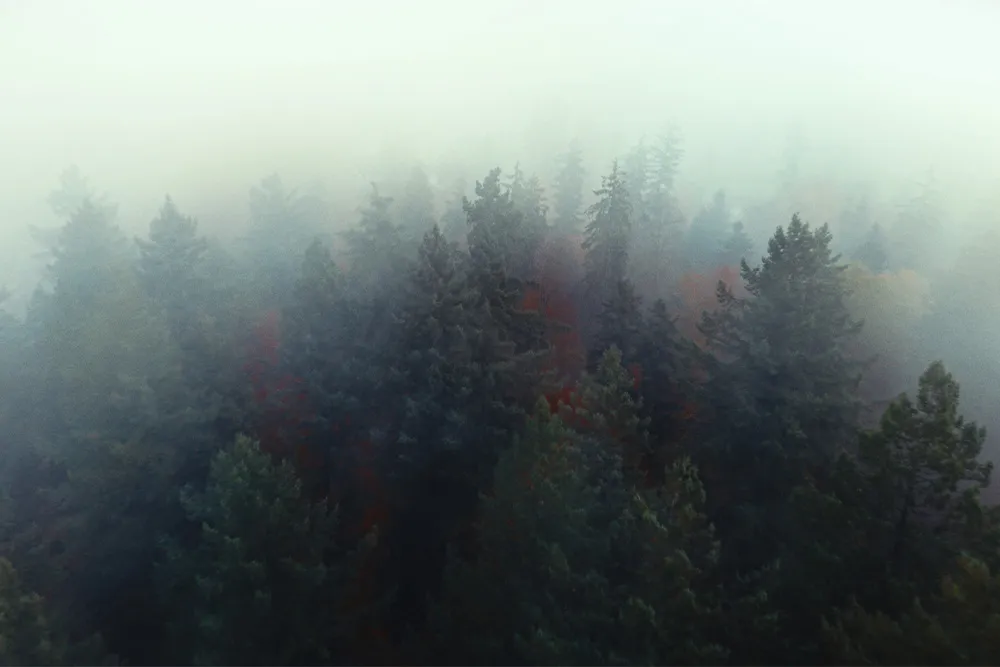 Behind the scenes from the K&F Concept V-Mount battery brand reel: filmmaker Lua Hell on location in a Swiss forest with cinema camera and V-Mount setup