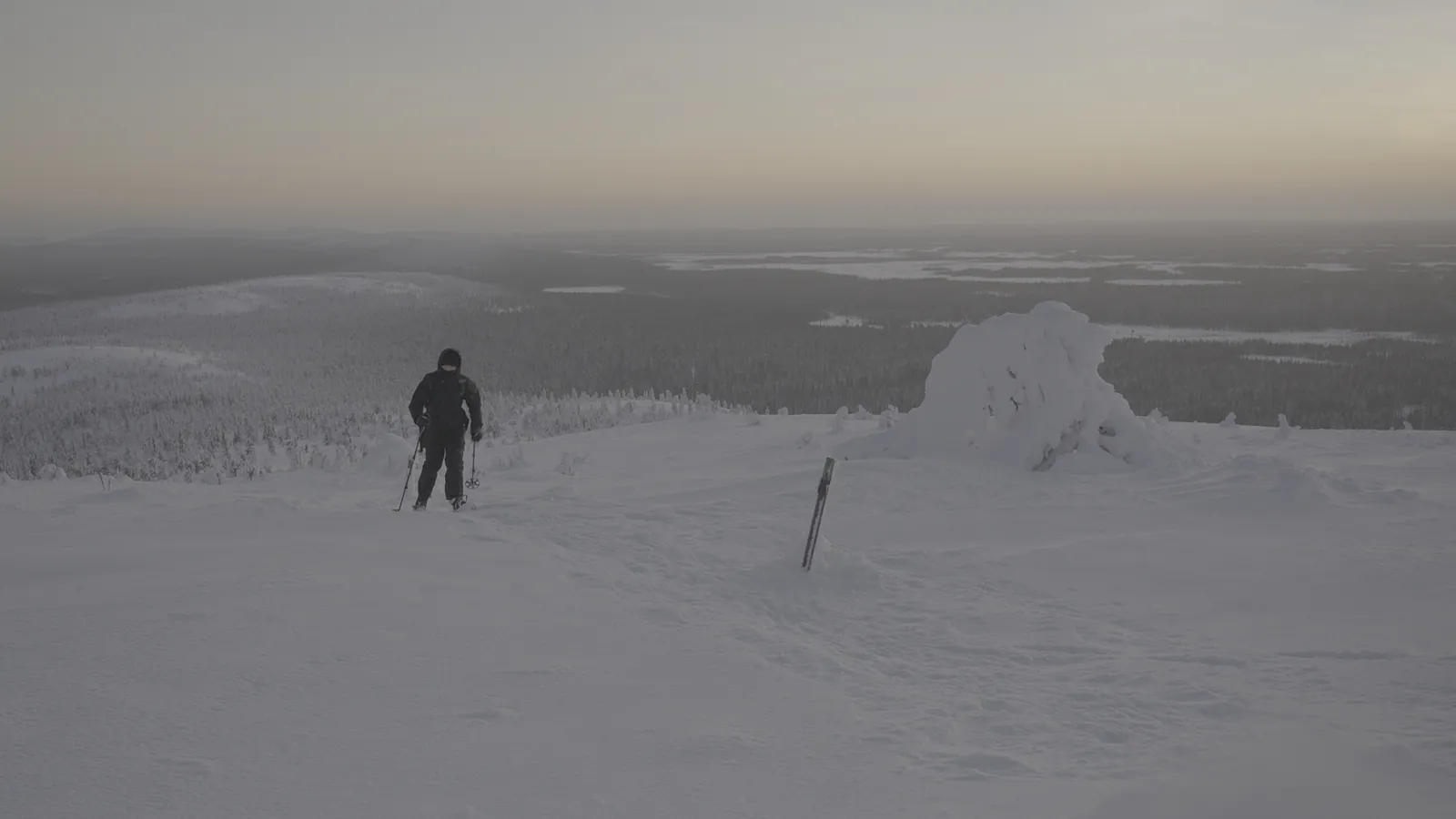 The same frame in flat LOG before the grade