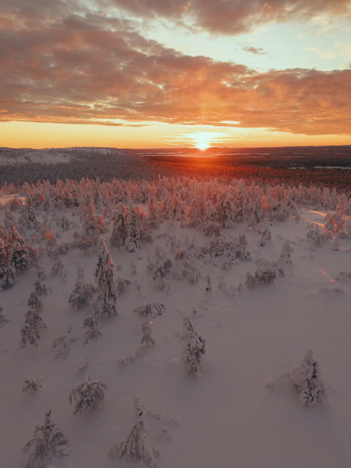 Photo graded with a Lua Visuals preset
